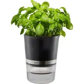 GEFU BOTANICO, Kräutertopf, Freistehend, Kunststoff, Edelstahl, Schwarz, Zylinder, 0,5 l