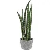 Creativ Green Kunstpflanze "Sanseveria"