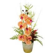 Klingel Gesteck 'Phalaenopsis' Orange