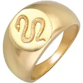 Elli Ring Siegelring Schlange Kraft Symbol 925 Silber Elli Premium Gold