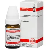 DHU Magnesium Sulfuricum C 30 Globuli 10 g