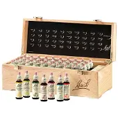 Bach Bachblüten 20 ml Set Tropfen 1 St