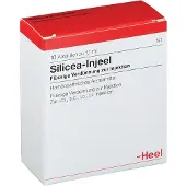 Heel Silicea Injeel Ampullen 10 St