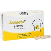 Laves-Arzneimittel GmbH Sanaglu Laves Kapseln, 30 St. Kapseln