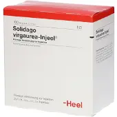 Heel Solidago Virgaurea Injeel Ampullen 100 St