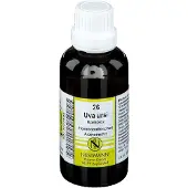 Nestmann UVA Ursi Komplex Nr.26 Dilution 50 ml