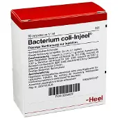 Heel Bacterium Coli Injeel Ampullen 10 St