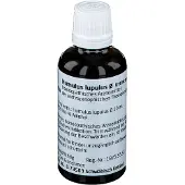 Weleda Humulus Lupulus Urtinktur 50 ml Dilution