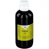 Nestmann Solidago H 32 Tropfen 100 ml