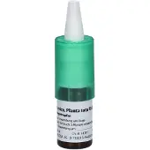 Weleda Ag Arnica Planta tota Rh D 3 Augentropfen 10 ml