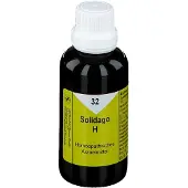 Nestmann Pharma GmbH Solidago H 32 Tropfen 50 ml