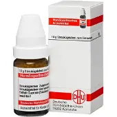 DHU Streptococcinum C 1000 Globuli 10 g