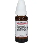 DHU-Arzneimittel GmbH & Co. KG Carum Carvi Urtinktur D 1 20 ml