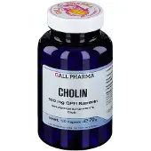 GALL PHARMA Cholin 100 mg GPH Kapseln 120 St
