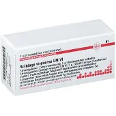 DHU Solidago Virgaurea LM VI Globuli 5 g