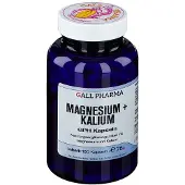 GALL PHARMA Magnesium+Kalium GPH Kapseln 180 St