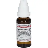 DHU Antimonium Sulfuratum aurantiacum D 6 Dilution 20 ml