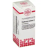 DHU Raphanus Sativus D 12 Globuli 10 g