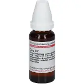 DHU China D 2 Dilution 20 ml