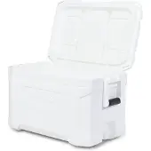 Igloo Coolers Coolers Profile Marine 50 47l Steife Tragbare Kühlbox Durchsichtig 62 x 39 x 37 cm Durchsichtig 62 x 39 x 37 cm