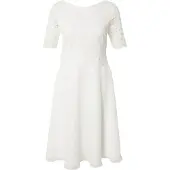 Vera Mont Cocktailkleid "Damen mit Spitze" Ohne Tasche Spitze