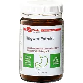 Dr. Wolz Ingwer Extrakt Dr.Wolz Kapseln 120 St