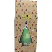 Martina Gebhardt Tassilo Linde Face Lotion in Geschenkbox 100 ml