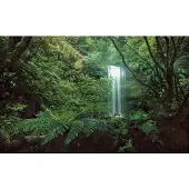 Overig Vliestapete "Digitaldruck Vlies - Secret Veil - Größe 450 x 280 cm" bedruckt glatt Wohnzimmer, Schlafzimmer