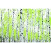Papermoon Fototapete "Birch Forest" matt