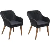 vidaXL Gartenstühle mit Polstern 2 Stk. Poly Rattan Schwarz