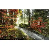 Overig Vliestapete "Digitaldruck Vlies - Feuerzungen - Größe 450 x 280 cm" bedruckt glatt Wohnzimmer, Schlafzimmer