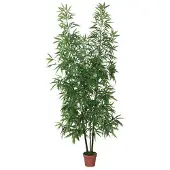Intergard Kunstpflanzen Bambus 200cm