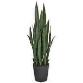 Intergard Kunstpflanzen Sansevieria 105cm
