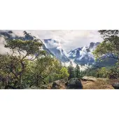 Komar Vliestapete "Digitaldruck Vlies - Unique Paradise - Größe 200 x 100 cm" bedruckt glatt Wohnzimmer, Schlafzimmer