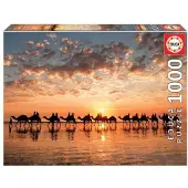 Educa Borras Goldener Sonnenuntergang Am Cable Beach Australien Puzzle 1000 Stücke Mehrfarbig 10-15 Years Mehrfarbig 10-15 Years
