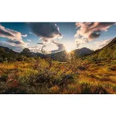 Overig Vliestapete "Digitaldruck Vlies - Norwegische Herbstwelten - Größe 450 x 280 cm" bedruckt glatt Wohnzimmer, Schlafzimmer