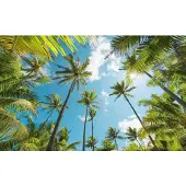Overig Vliestapete "Digitaldruck Vlies - Coconut Heaven - Größe 450 x 280 cm" bedruckt glatt Wohnzimmer, Schlafzimmer