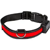 Eyenimal Num#39axes Leuchtendes Halsband rot - Grösse M