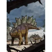 Komar Vlies Fototapete Stegosaurus 184 x 248 cm GLO769551119