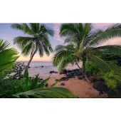 Overig Vliestapete "Digitaldruck Vlies - Hawaiian Dreams - Größe 450 x 280 cm" bedruckt glatt Wohnzimmer, Schlafzimmer