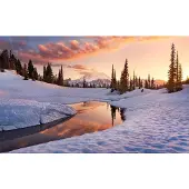 Overig Vliestapete "Digitaldruck Vlies - America the Beautiful - Größe 450 x 280 cm" bedruckt glatt Wohnzimmer, Schlafzimmer