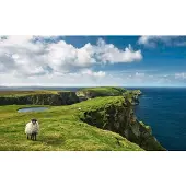 Overig Vliestapete "Digitaldruck Vlies - Green Ireland - Größe 450 x 280 cm" bedruckt glatt Wohnzimmer, Schlafzimmer