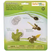 Safari Ltd 269129 Der Lebenszyklus eines Frosches