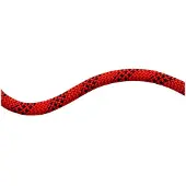 Mammut 10.5 Performance Static Seil