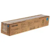 Dynabook 6AJ00000196, 38400 Seiten, Schwarz, 1 Stück(e)