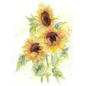 Overig Vliestapete "Digitaldruck Vlies - Girasol - Größe 200 x 250 cm" bedruckt glatt Wohnzimmer, Schlafzimmer
