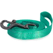 Dogman Reflective Nylon Dog Leash Iris Turquoise M 20mm 180cm