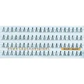 Everlash Dauerwimpern short Verkaufspackung - schwarz