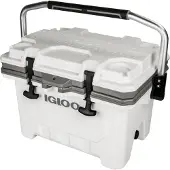 Igloo Coolers Imx 24 22l Steife Tragbare Kühlbox