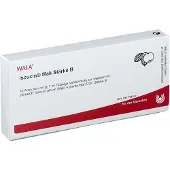 Wala Iscucin mali Stärke B Ampullen 10x1 ml